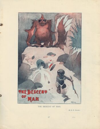Rare Vintage Print, The Descent of Man, 1908