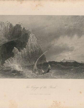 Antique Engraving Print, The Voyage of the Bird, 1845