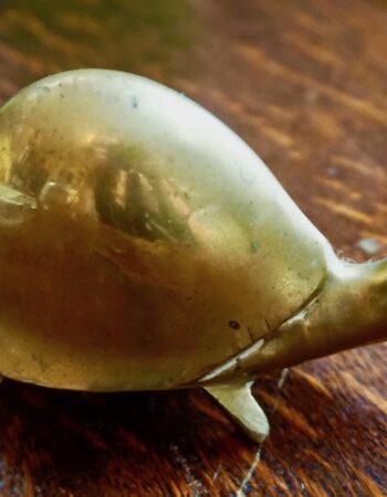 Vintage Brass Turtle