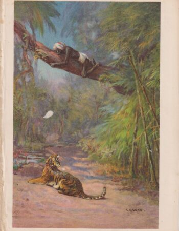 Vintage Print, "Up a tree!" by C. Eswan, 1887